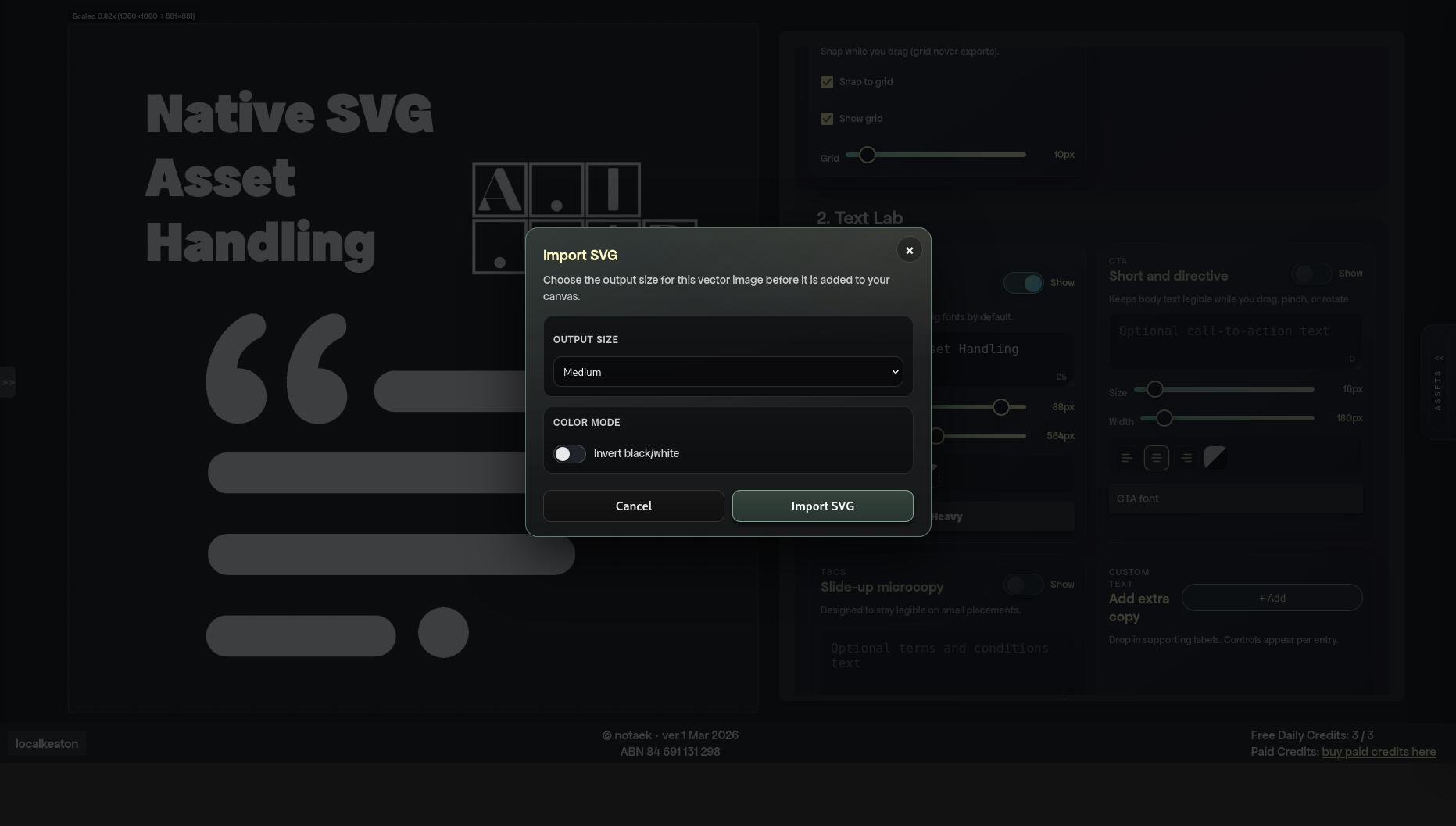 Export-related view showing SVG handling and optimized output preparation.